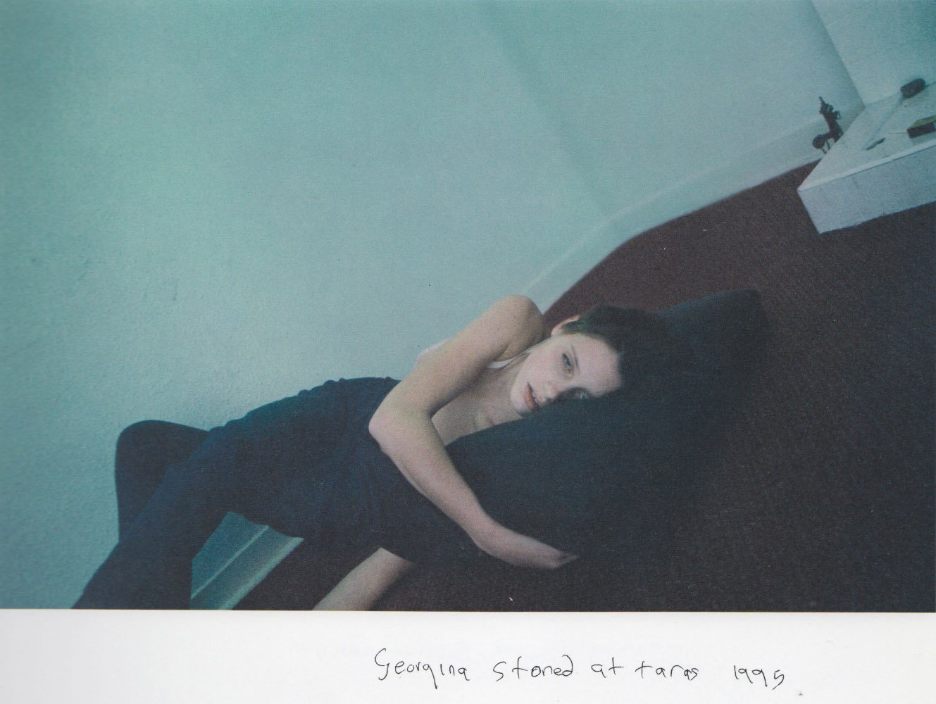 DIARY - CORINNE DAY | VEINS BOOKS
